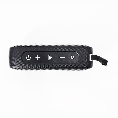 Top view of the SaunaLife Verse speaker showing power, volume, play and mode buttons
