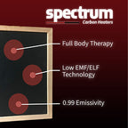 Finnmark Spectrum Carbon 360 infrared heaters